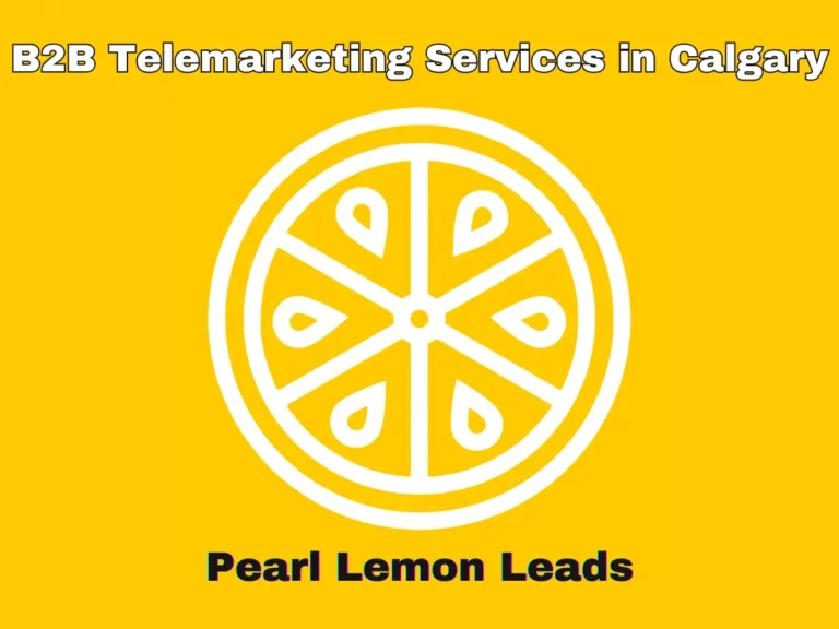 B2B Telemarketing Services in Calgary
